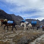 Photo taken by martin M