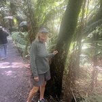 Photo taken by William F