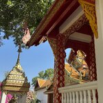 Photo taken by Megan H