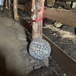 Photo taken by Lisa T