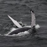 Photo taken by Lisa D