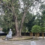 Photo taken by Matteo R