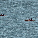 Photo taken by Devon B