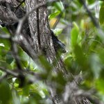 Photo taken by Ashwal P