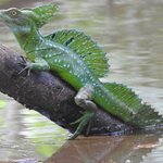 Photo taken by Alex V