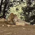 Photo taken by Leanne R