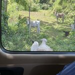 Photo taken by Marilyn F