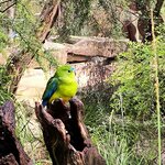 Photo taken by Kaitlin J