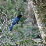 Photo taken by Graeme W