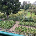 Photo taken by Rhoda M