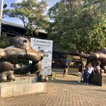 Photo taken by Weston L