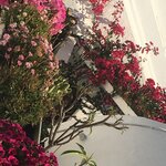 Photo taken by Stephanie T