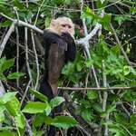 Photo taken by Jason C