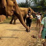 Photo taken by Felice Z