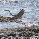 Photo taken by mindy n