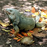 Photo taken by Linda M