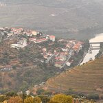 Photo taken by Raquel K