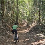 Photo taken by Susan D