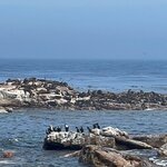 Photo taken by Crystall P