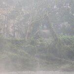 Photo taken by Cayden S