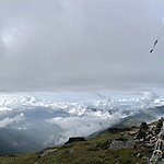 Photo taken by Michael W