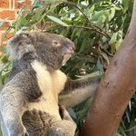 Photo taken by Ken K