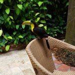 Photo taken by Juliette S