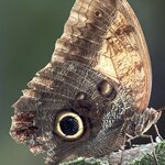 Photo taken by Sarah C