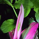 Photo taken by Ceinwen P