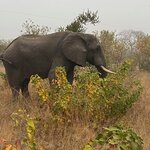 Photo taken by Linette B