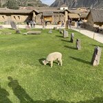 Photo taken by Anna Mae R