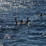 Photo taken by Joe O