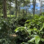 Photo taken by Siang O