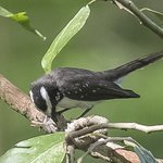 Photo taken by Graham D