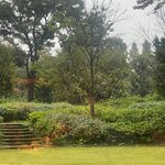 Photo taken by Evan S