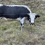 Photo taken by Jodi P