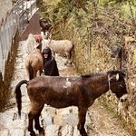 Photo taken by don m