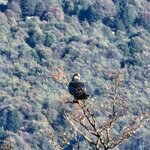 Photo taken by Devon B