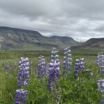 Photo taken by PETER S