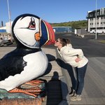 Westman islands  | Photo taken by jay d