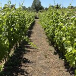 Photo taken by Judi S