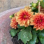 Photo taken by Nisah M