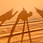 Photo taken by Jeanette W