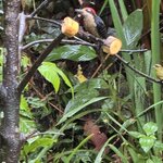 Photo taken by Ben B