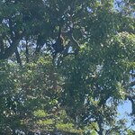 Photo taken by Keyla A