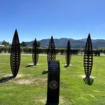 Photo taken by Lisa S