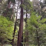 Photo taken by kirsten b