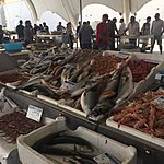 Photo taken by Allyson A