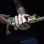 Photo taken by Nathalie B