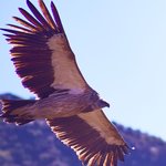 Photo taken by Peter M